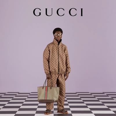 Bolso de Brown Gucci Ophidia de las mujeres calificadas pequeño Tote Ebony medianamente grande