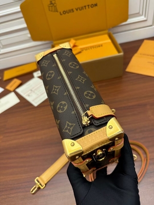 Maleta lateral Presbyopic del bolso del monograma P.M. del tronco de Louis Vuitton LV de la lona de Brown