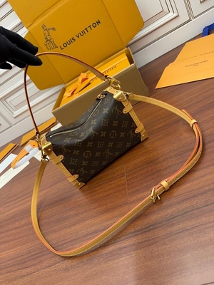 Maleta lateral Presbyopic del bolso del monograma P.M. del tronco de Louis Vuitton LV de la lona de Brown