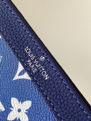 Cremallera doble de la pequeña cartera de Gastón Louis Vuitton LV Pochette usable 