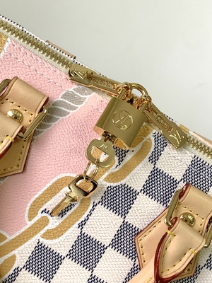 Lona revestida Louis Vuitton Damier Azur rápido 25 M46390